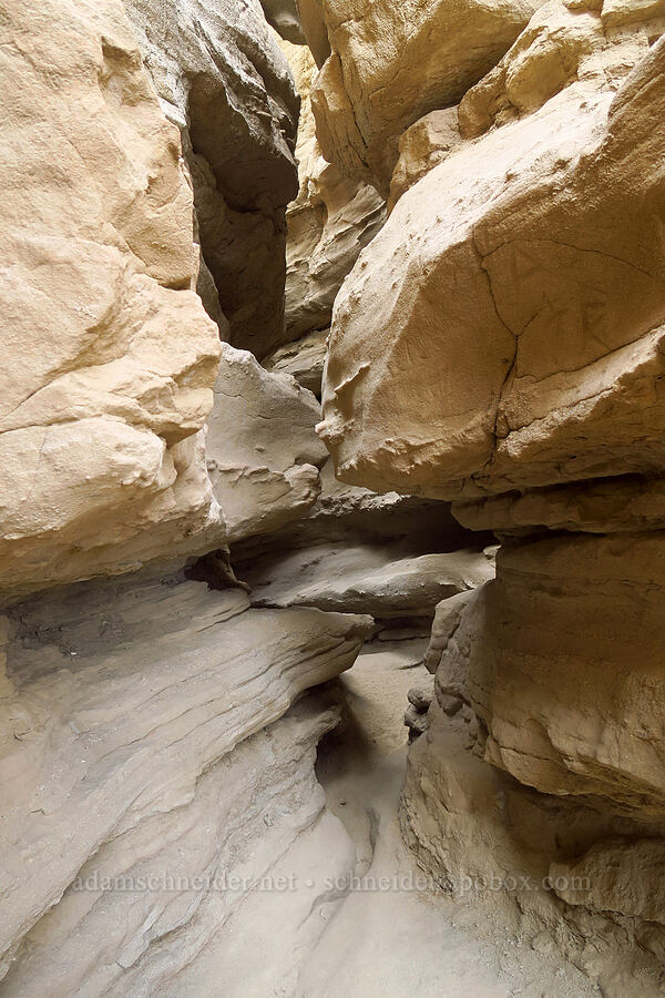 mudstone slot canyon [The Slot, Anza-Borrego Desert State Park, San Diego County, California]