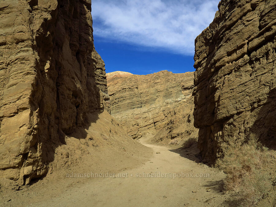mudstone canyon [Borrego Mountain Wash, Anza-Borrego Desert State Park, San Diego County, California]