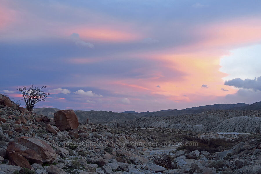 sunset clouds [Mountain Palm Springs, Anza-Borrego Desert State Park, San Diego County, California]
