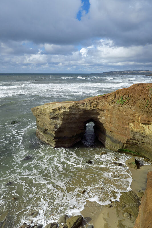 rock arch [Sunset Cliffs Boulevard, San Diego, San Diego County, California]