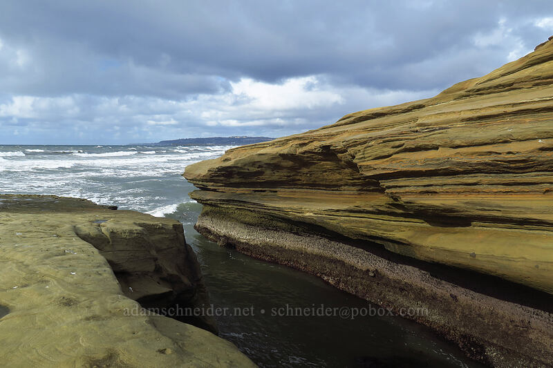 coastal sandstone [Sunset Cliffs Boulevard, San Diego, San Diego County, California]