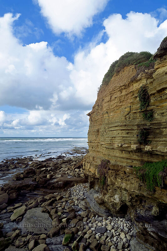 coastal cliffs [Sunset Cliffs Natural Park, San Diego, San Diego County, California]