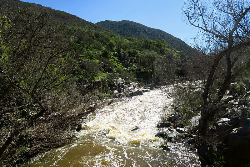San Diego River [Mission Trails Regional Park, San Diego, San Diego County, California]