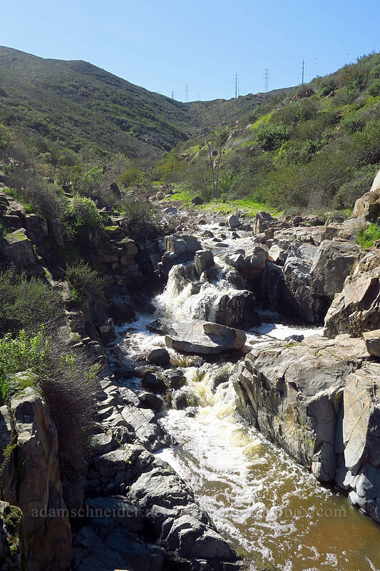 Oak Canyon [Mission Trails Regional Park, San Diego, San Diego County, California]