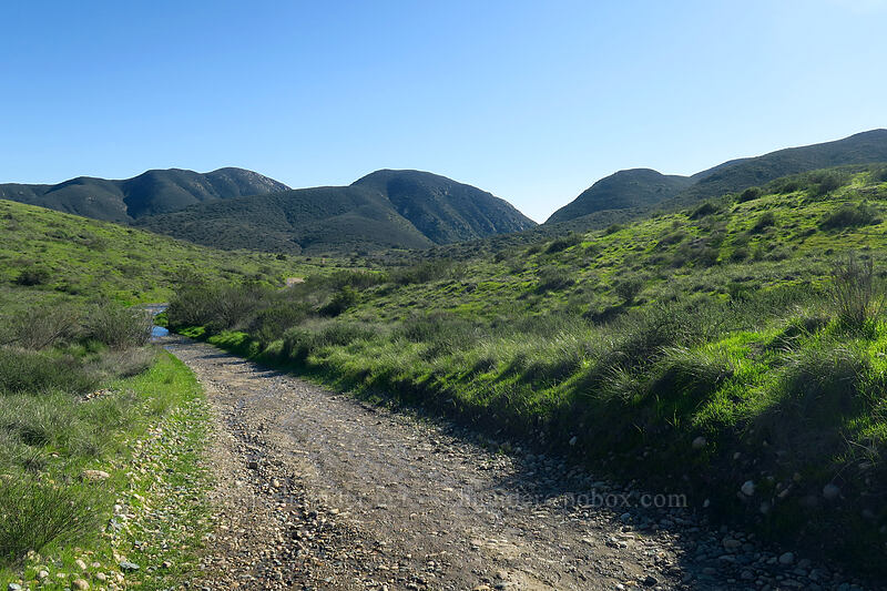 green hills [Mission Trails Regional Park, San Diego, San Diego County, California]
