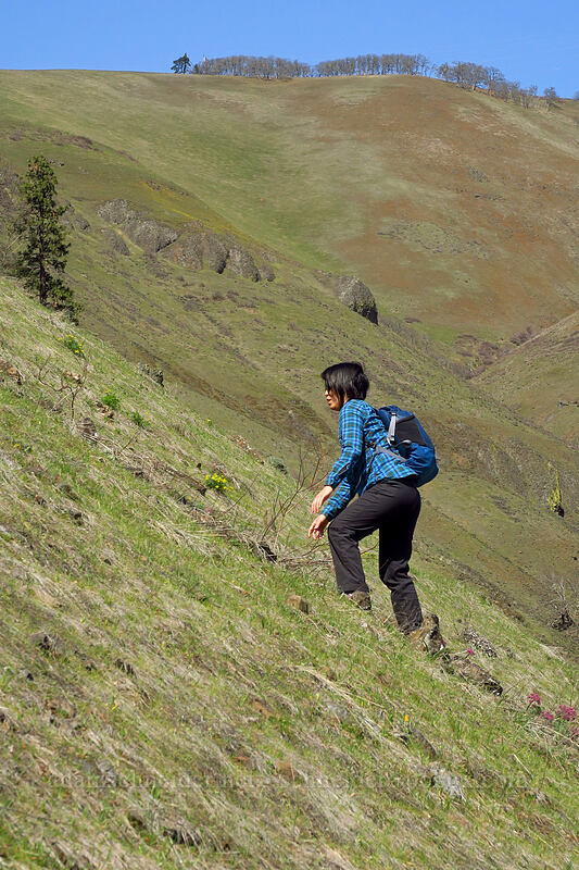 steep slopes [Doug's Beach State Park, Klickitat County, Washington]