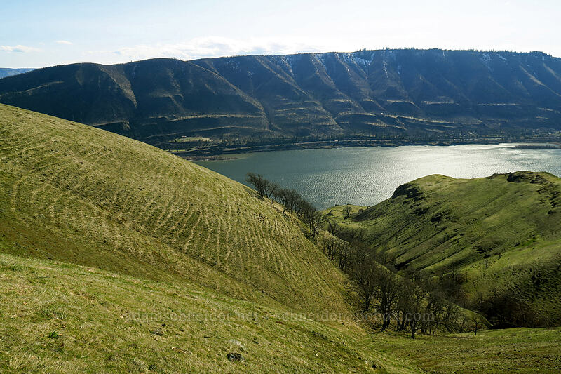 terraces [Doug's Beach State Park, Klickitat County, Washington]