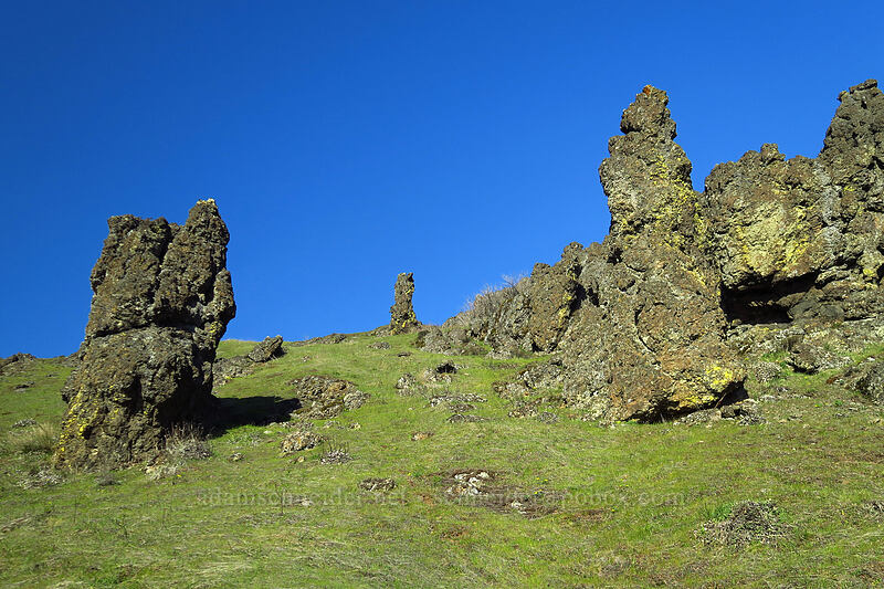 basalt pinnacles [Doug's Beach State Park, Klickitat County, Washington]