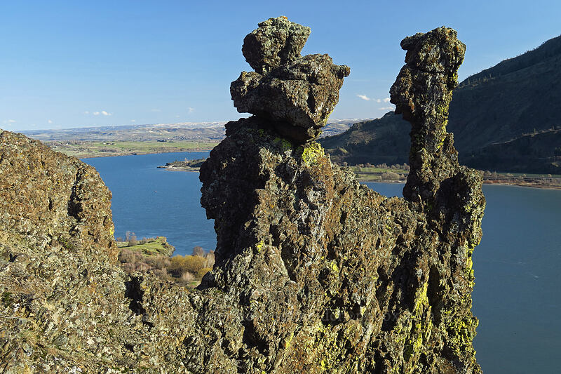 basalt pinnacles [Doug's Beach State Park, Klickitat County, Washington]