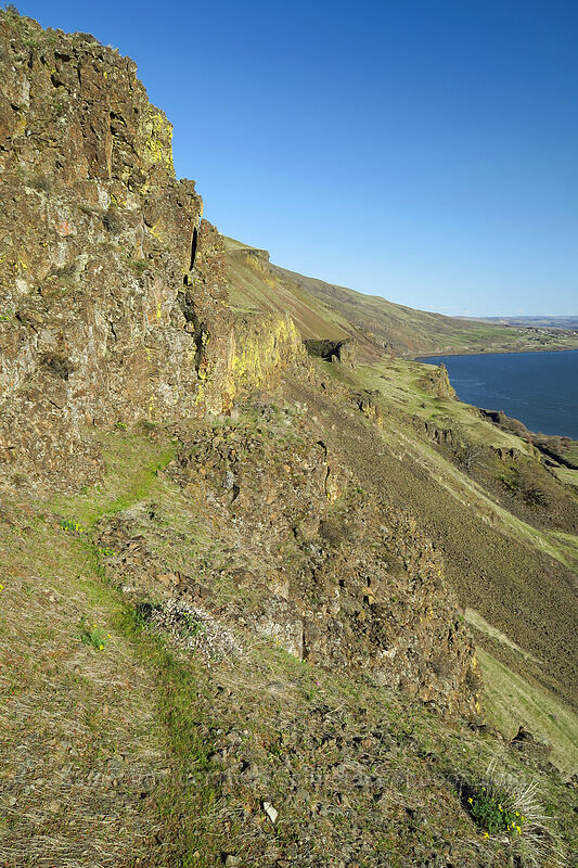 deer trail [Doug's Beach State Park, Klickitat County, Washington]
