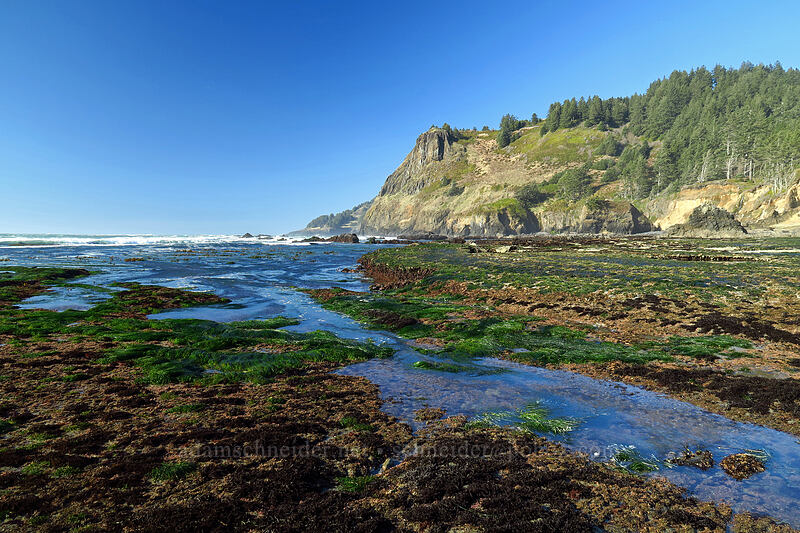 tidepools & Cape Foulweather [Otter Rock Marine Garden, Otter Rock, Lincoln County, Oregon]