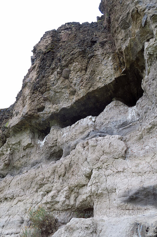 caves occupied by birds [Chenoweth Tableland, Wasco County, Oregon]