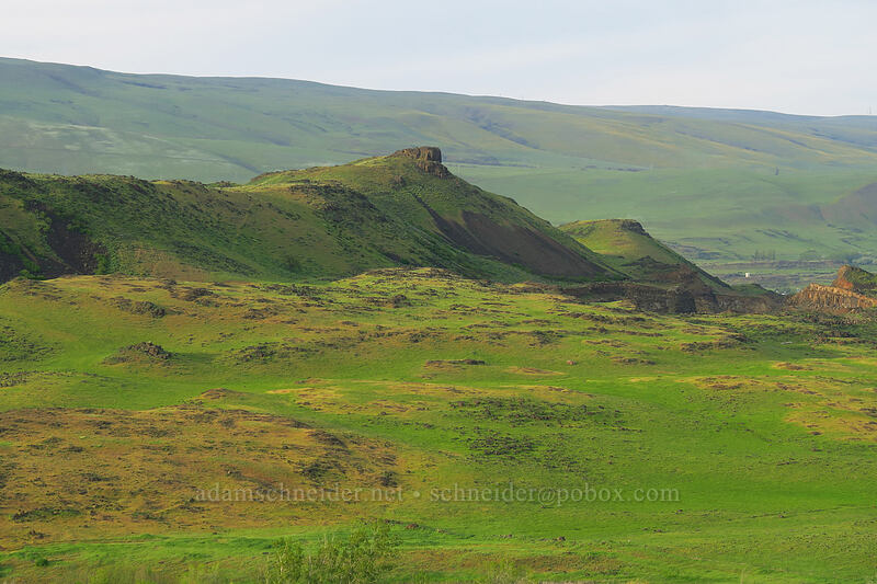 hills northwest of The Dalles [Chenoweth Tableland, Wasco County, Oregon]