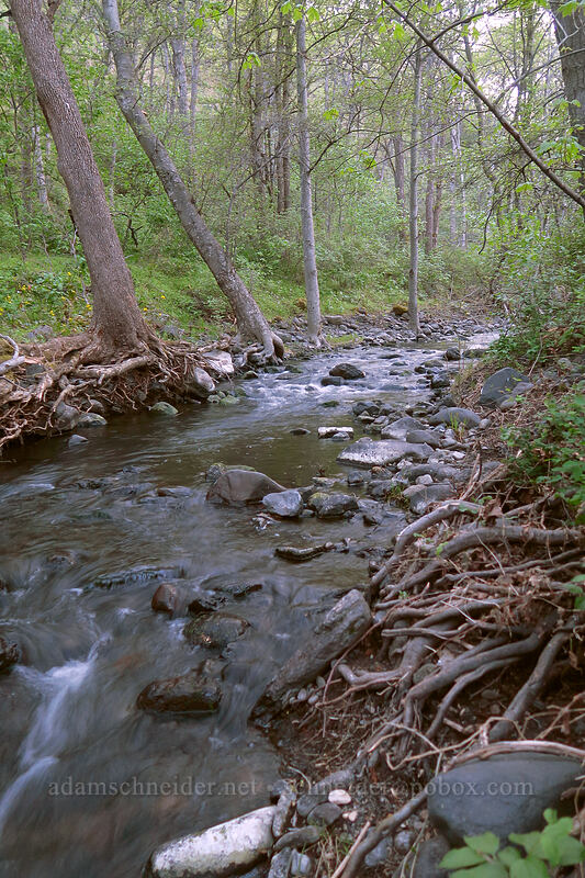 Chenoweth Creek [Chenoweth Road, Wasco County, Oregon]