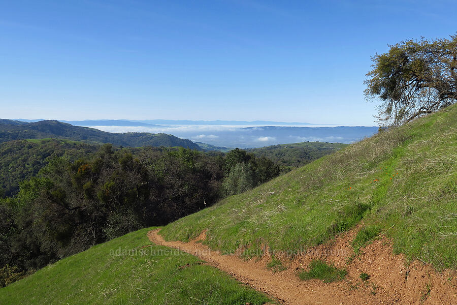 fog over the Santa Clara Valley [Monument Trail, Henry W. Coe State Park, Santa Clara County, California]