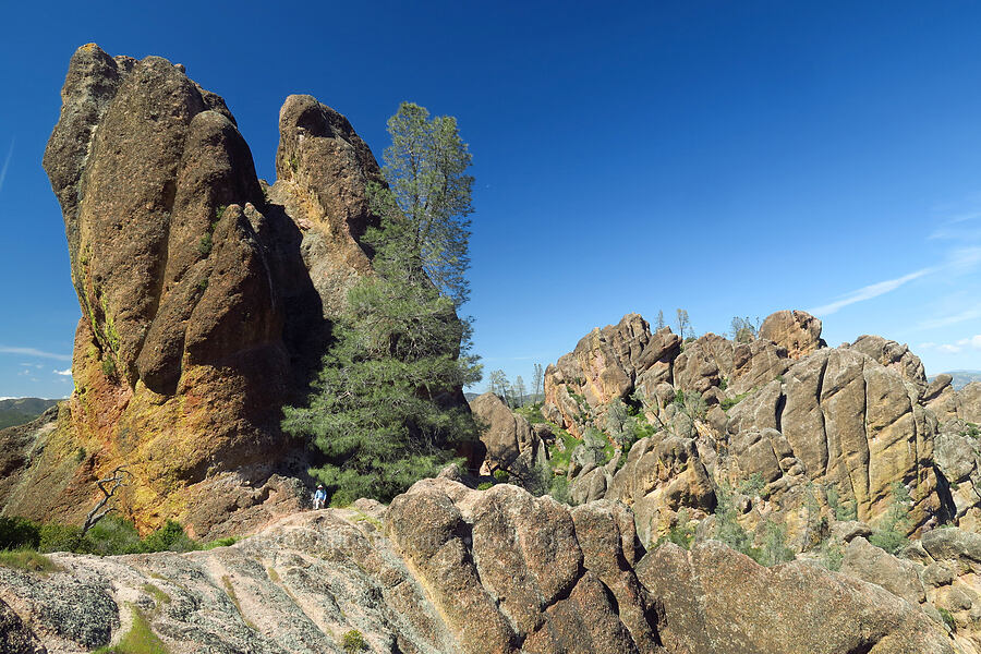 pinnacles [High Peaks Trail, Pinnacles National Park, San Benito County, California]