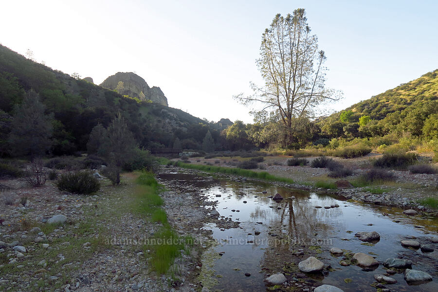 Chalone Creek [Chalone Creek, Pinnacles National Park, San Benito County, California]