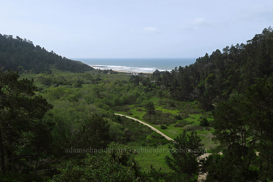 ocean view [Skyline-to-the-Sea Bypass Trail, Big Basin Redwoods State Park, Santa Cruz County, California]