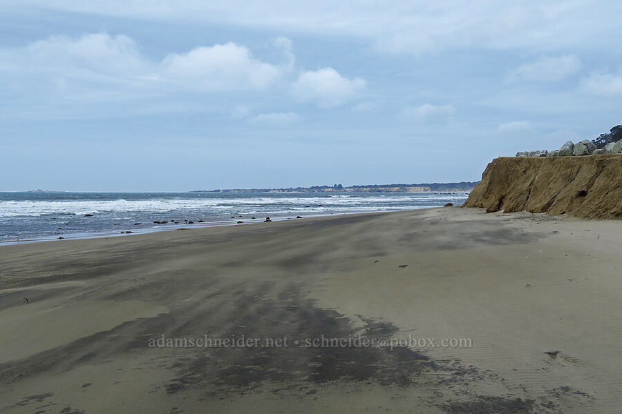 Point Año Nuevo [Waddell Beach, Big Basin Redwoods State Park, Santa Cruz County, California]