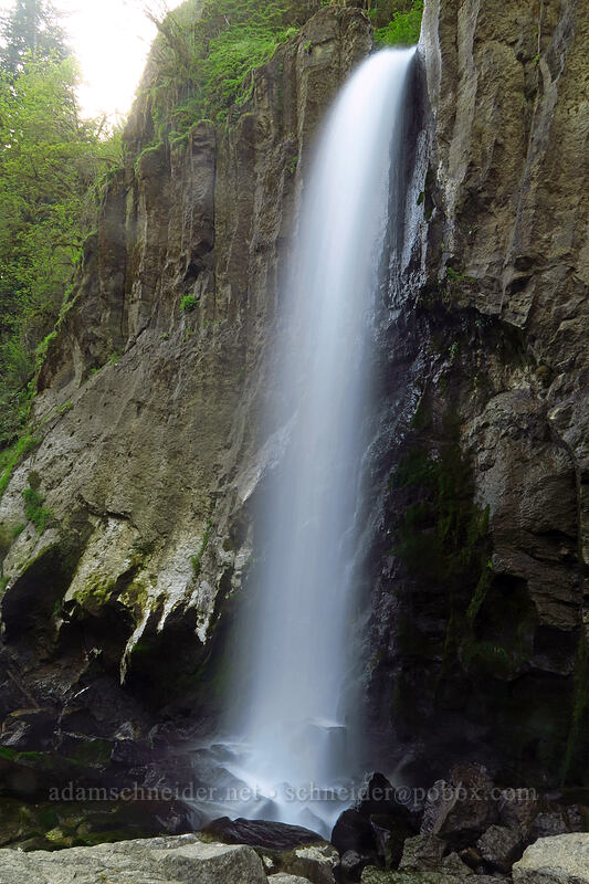 Drift Creek Falls [Drift Creek Falls Trail, Siuslaw National Forest, Lincoln County, Oregon]
