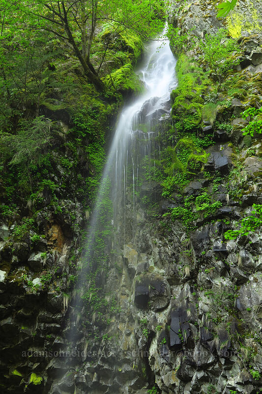 top of Cabin Creek Falls [Mt. Defiance Trail, Starvation Creek State Park, Hood River County, Oregon]