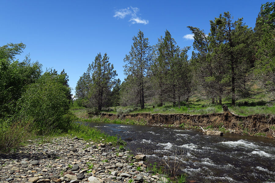Whychus Creek [Whychus Canyon Preserve, Deschutes County, Oregon]