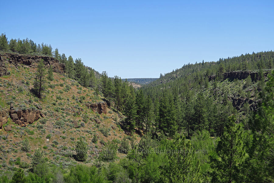 Whychus Creek Canyon [Whychus Canyon Preserve, Deschutes County, Oregon]