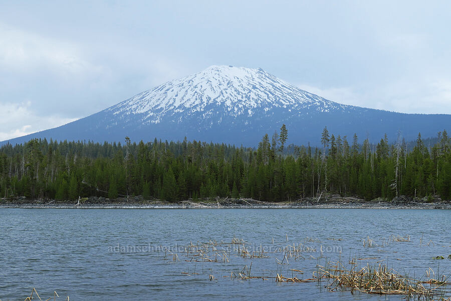 Mt. Bachelor & Lava Lake [Lava Lake Resort, Deschutes National Forest, Deschutes County, Oregon]