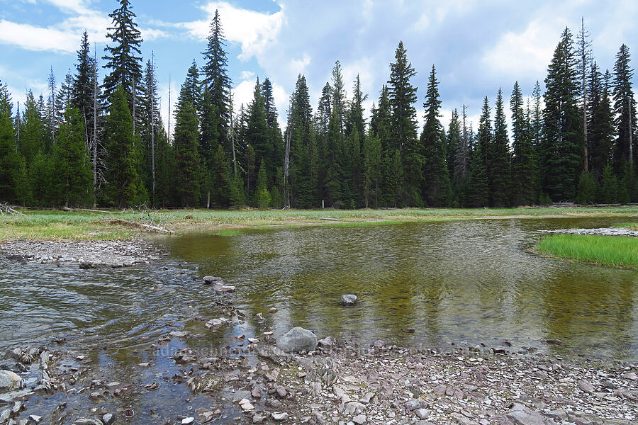 headwaters of the Deschutes River [Little Lava Lake, Deschutes National Forest, Deschutes County, Oregon]