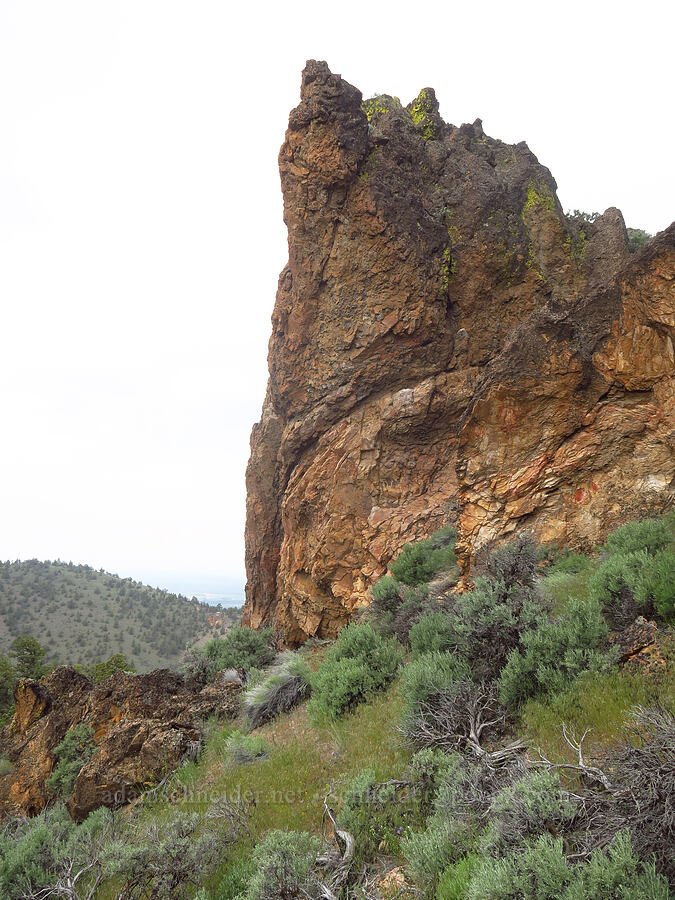 tuff formations [ridge south of Gray Butte, Deschutes County, Oregon]