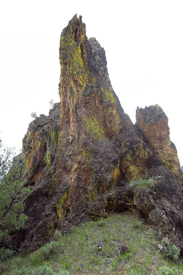 tuff formations [ridge south of Gray Butte, Deschutes County, Oregon]