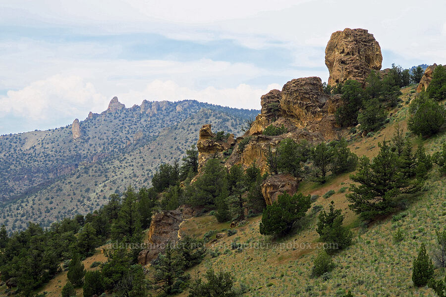 tuff formations [ridge south of Gray Butte, Deschutes County, Oregon]