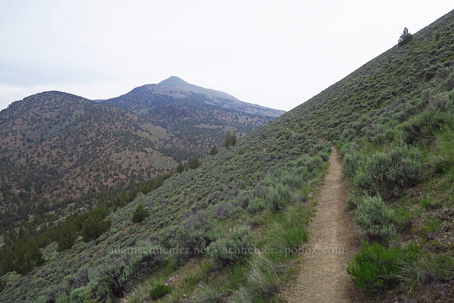 sagebrush hillside & Gray Butte [Gray Butte Trail, Crooked River National Grassland, Jefferson County, Oregon]