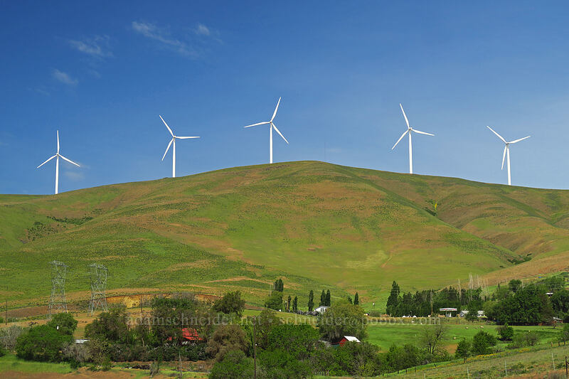 windmills [U.S. Highway 97, Klickitat County, Washington]