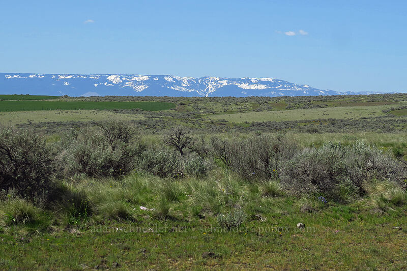 Wenatchee Mountains [Duffy Creek Recreation Site, Douglas County, Washington]