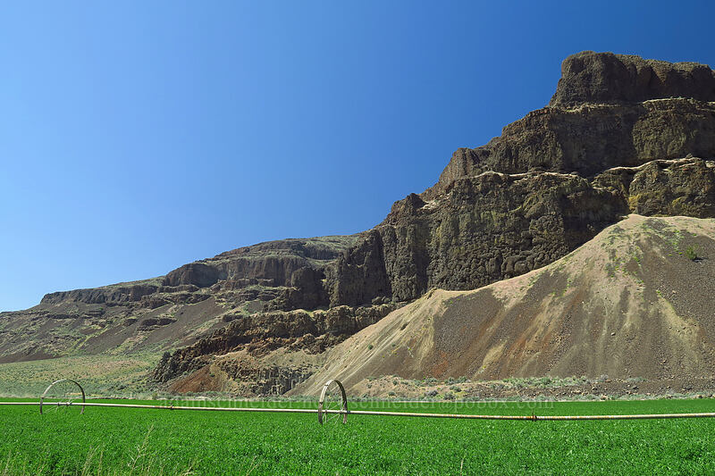 Moses Coulee [Palisades Road, Douglas County, Washington]