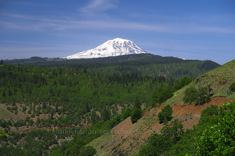 Mount Adams [Glenwood Highway, Klickitat Wildlife Area, Klickitat County, Washington]