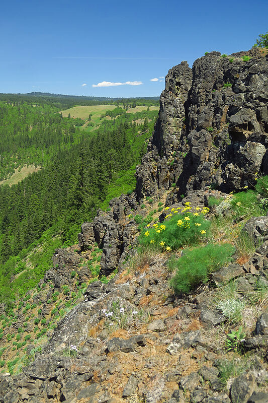edge of Leidl Ridge [Leidl Ridge, Klickitat Wildlife Area, Klickitat County, Washington]