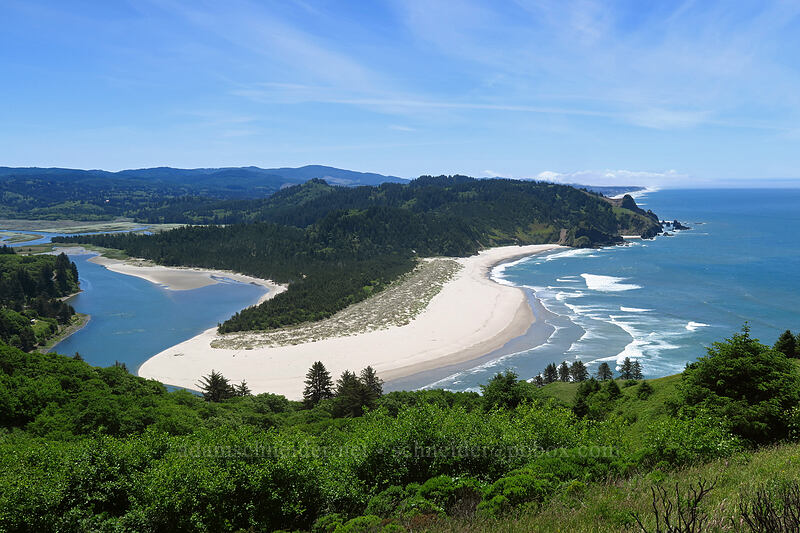 mouth of the Salmon River [Cascade Head Trail, Tillamook County, Oregon]