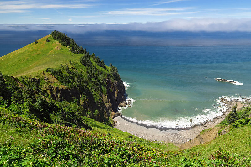Cascade Head & a shingle beach [Cascade Head Trail, Tillamook County, Oregon]