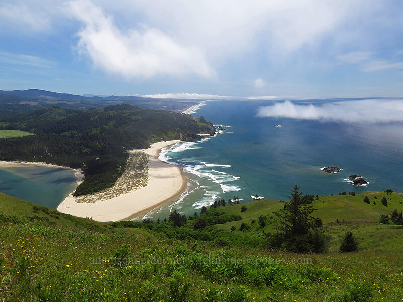 mouth of the Salmon River [Cascade Head Trail, Tillamook County, Oregon]