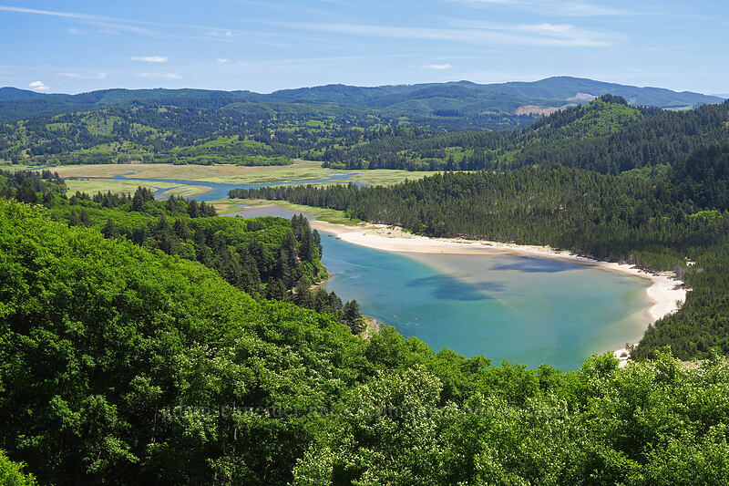 Salmon River estuary [Cascade Head Trail, Tillamook County, Oregon]