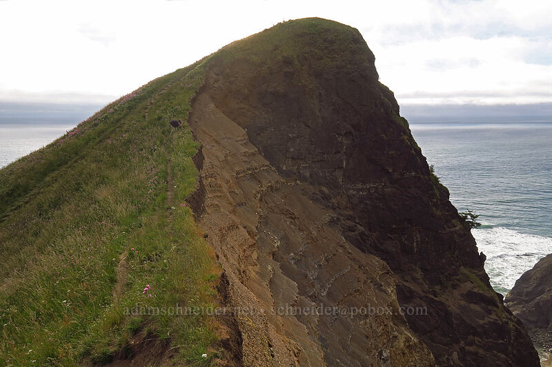 God's Thumb [God's Thumb, Siuslaw National Forest, Lincoln County, Oregon]