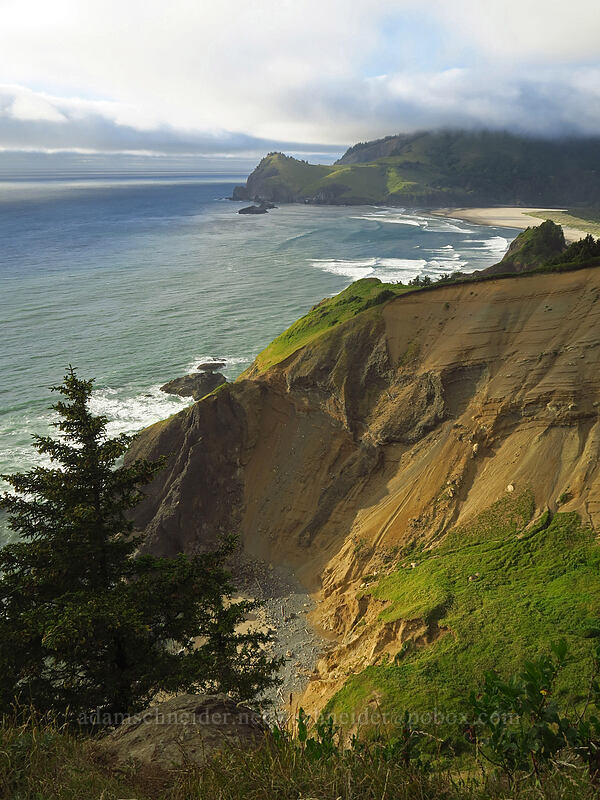 view to the north [God's Thumb, Siuslaw National Forest, Lincoln County, Oregon]