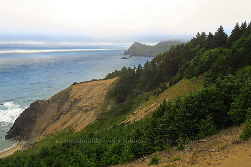 stripes on the ocean [God's Thumb Trail, Siuslaw National Forest, Lincoln County, Oregon]