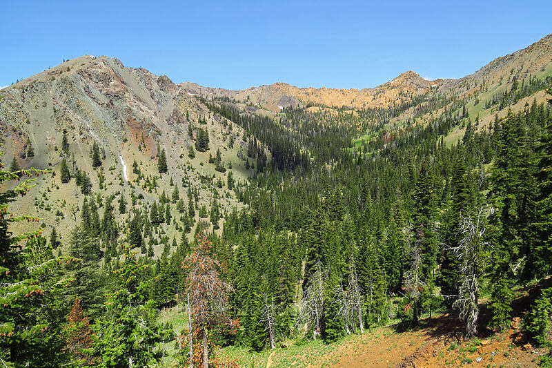 Judi's Peak & Bean Peak [Bean Creek Trail, Wenatchee National Forest, Kittitas County, Washington]