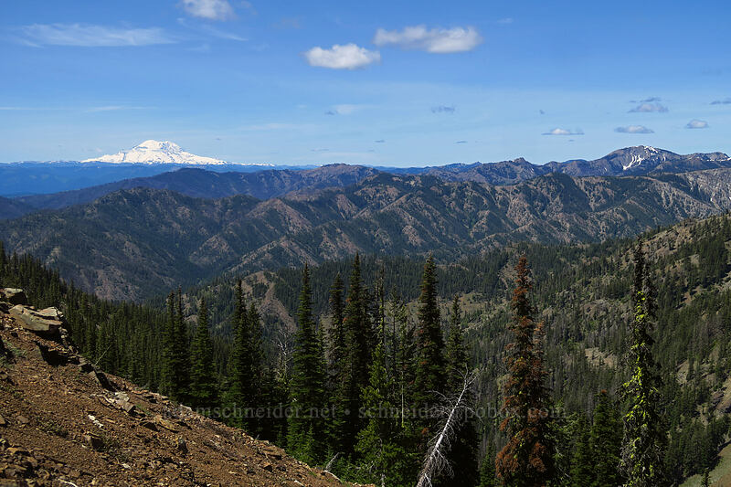 Mount Rainier & Jolly Mountain [Bean Creek Trail, Wenatchee National Forest, Kittitas County, Washington]