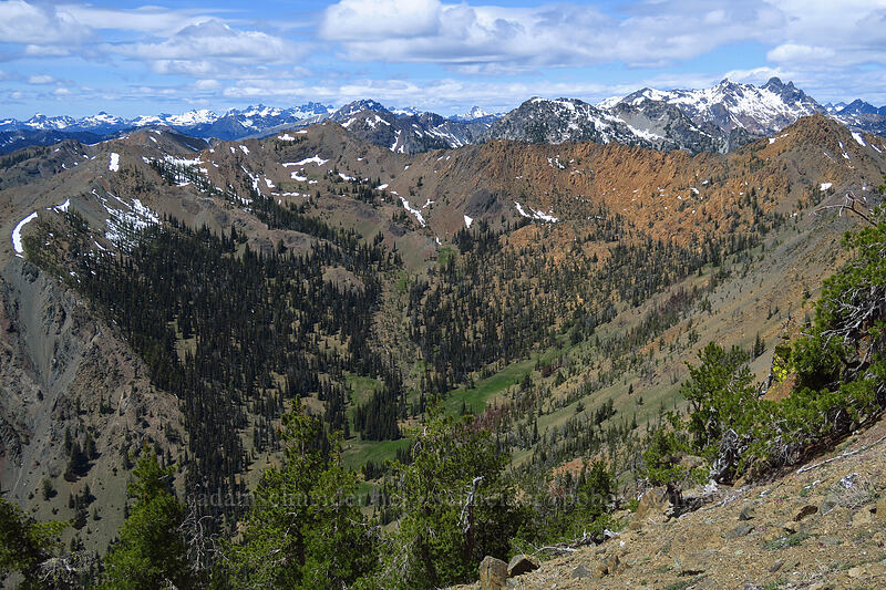 Bean Creek Basin [Earl Peak Trail, Wenatchee National Forest, Kittitas County, Washington]