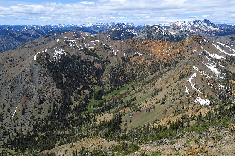 Bean Creek Basin & distant mountains [summit of Earl Peak, Wenatchee National Forest, Kittitas County, Washington]