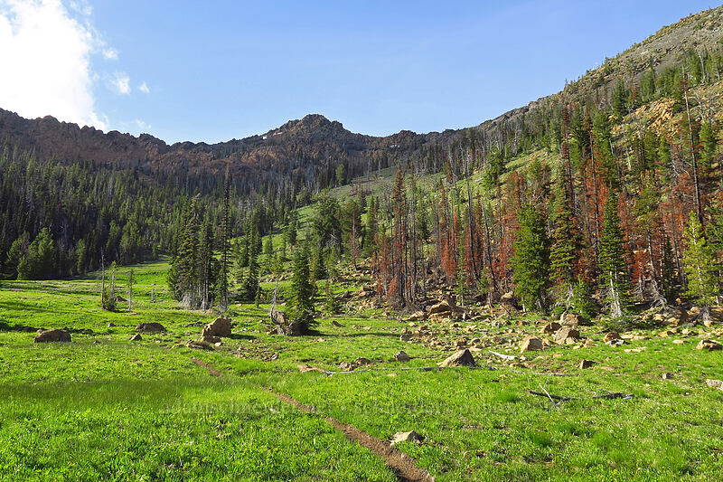 Bean Peak & Bean Creek Basin [Bean Creek Basin, Wenatchee National Forest, Kittitas County, Washington]